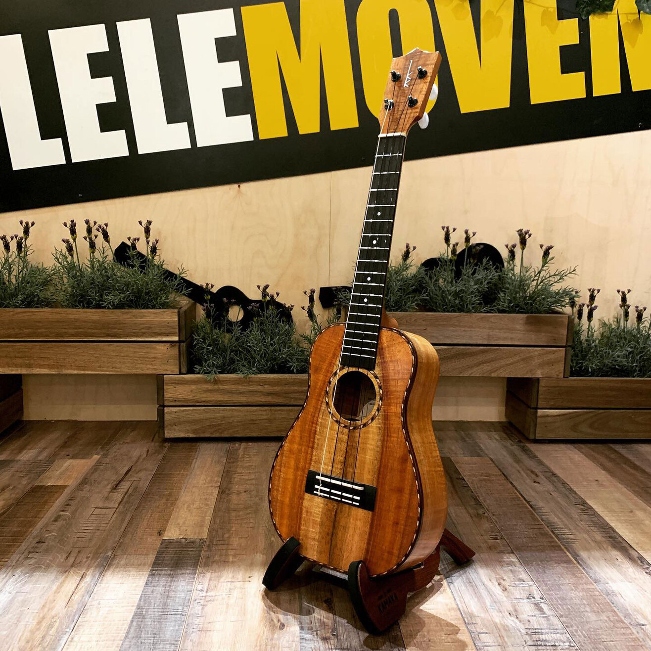 Enya For-Girl Concert Ukulele (Pink) FG1