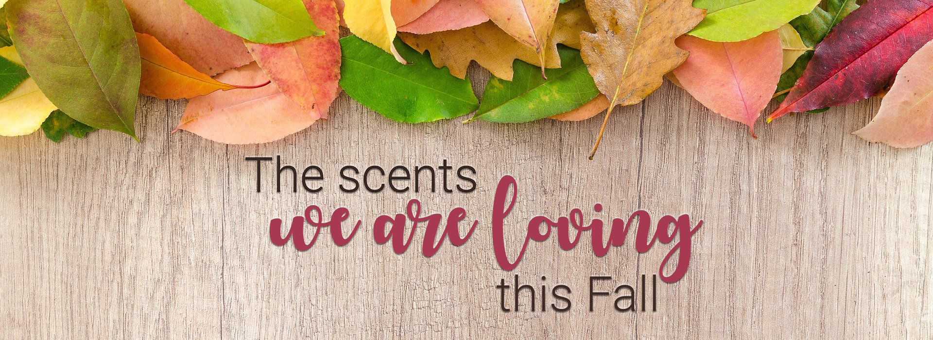 Collect what you love for fall. Featuring Pumpkin Spice, Pumpkin Pie and Creme Brulee. creme