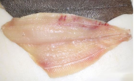 Flounder Fillet ONLY $15.99