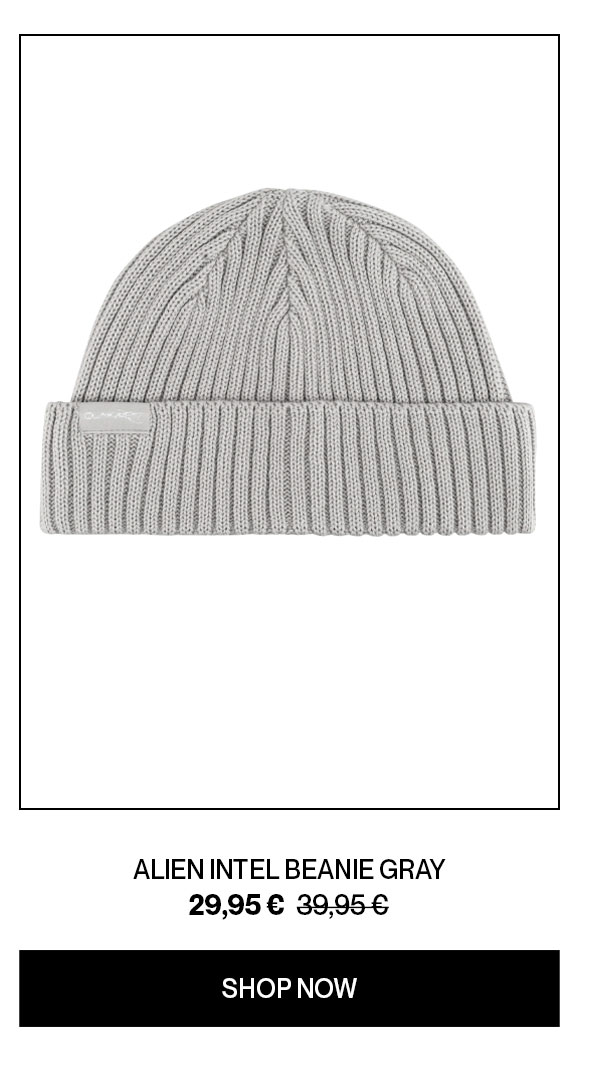  Alien Intel Beanie Gray