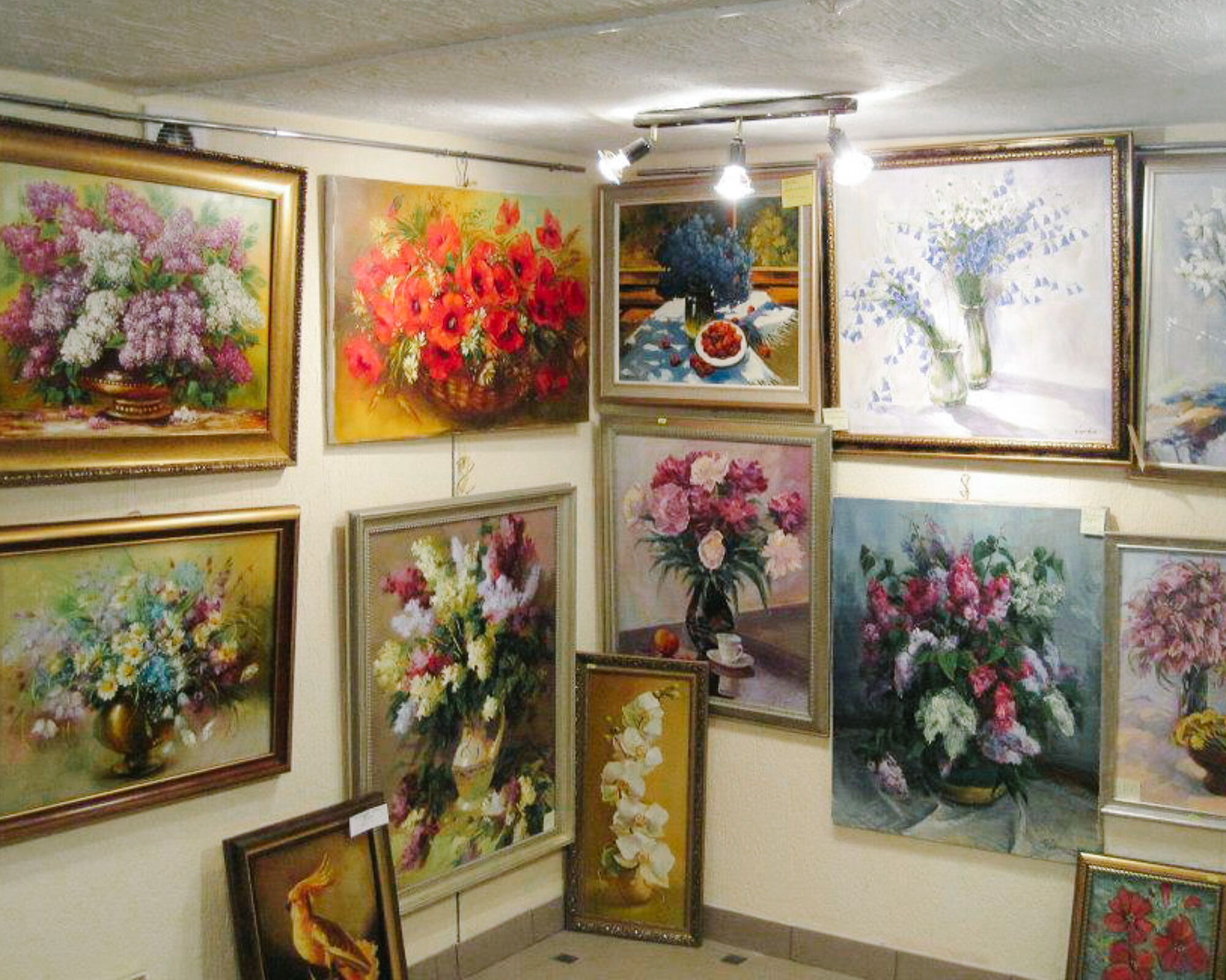 Art Gallery and Art Supplies store in Ukraine