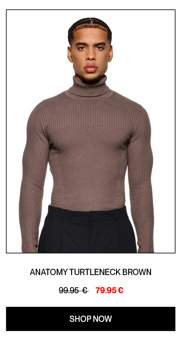 ANATOMY TURTLENECK BROWN