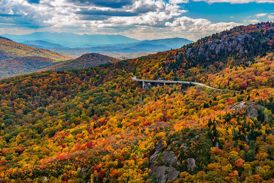 Fall foliage in Asheville, NC