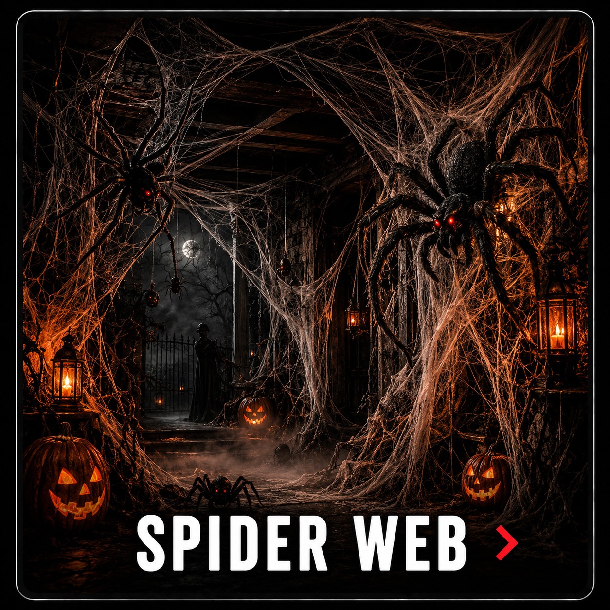 Spider Web