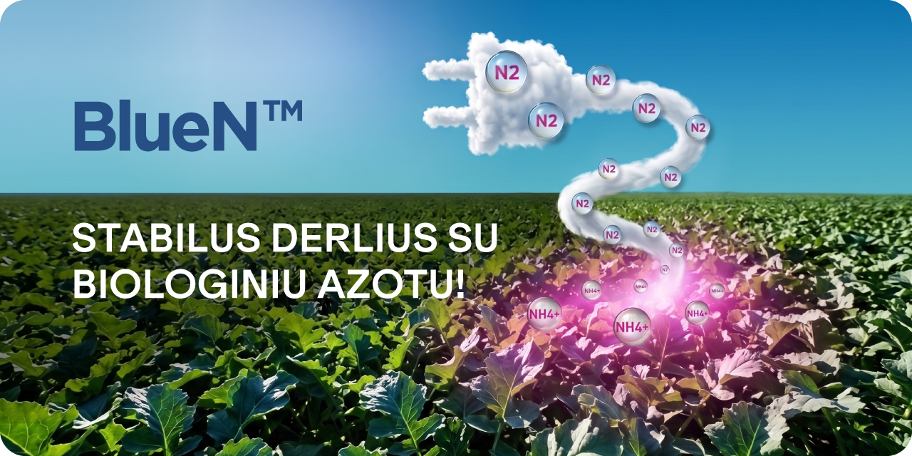 BlueN – stabilus derlius su biologiniu azotu