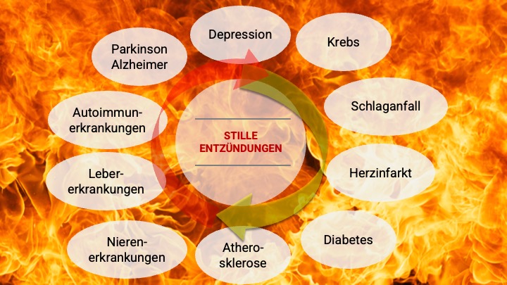 Übersicht zu stillen Entzündungen und chronischen Erkrankungen