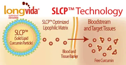 Longvida SLCP-Technologie: Lipidmatrix und freie Curcuminoide