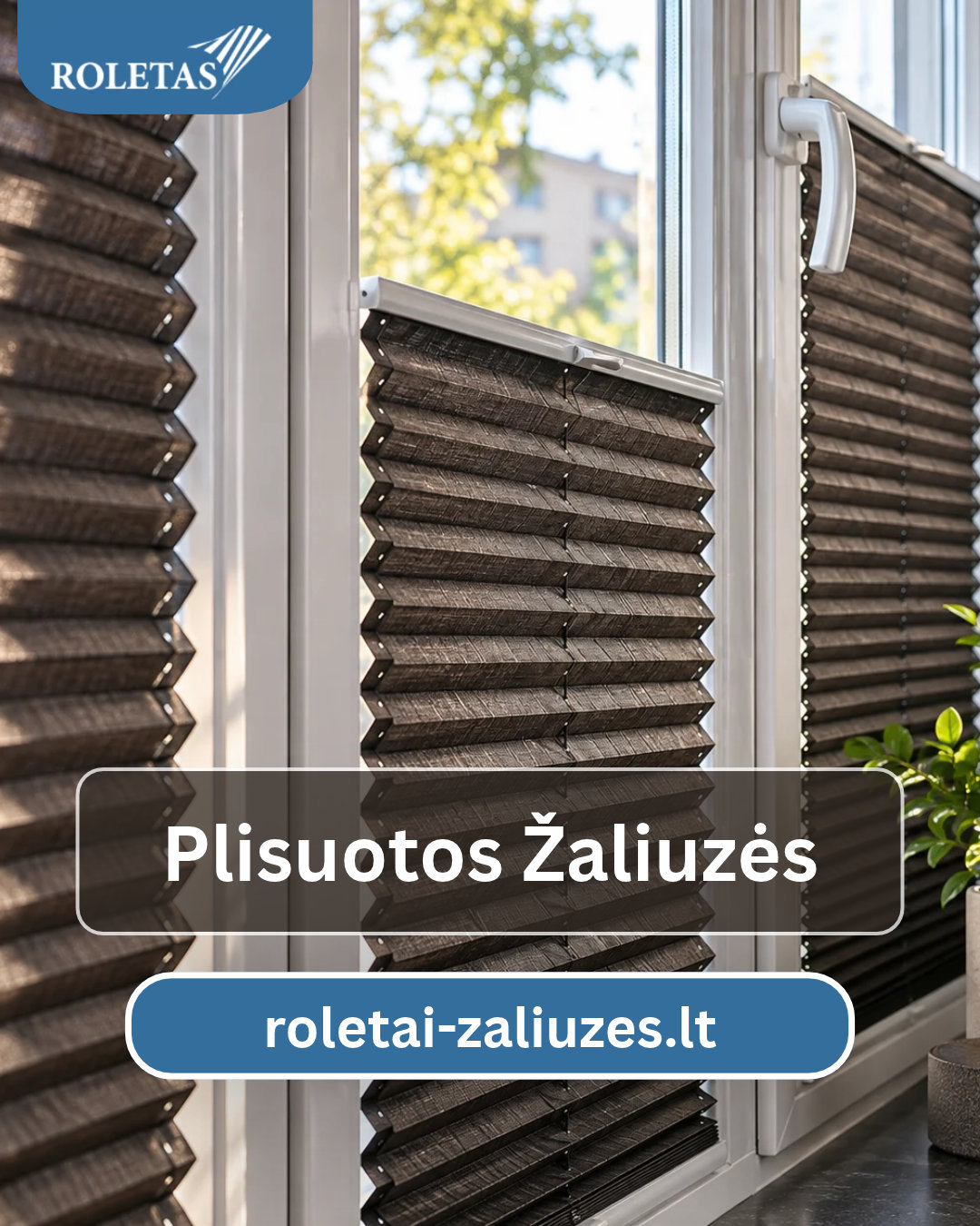 Plisuotos žaliuzės